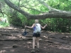 waimoku-falls-010