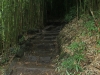 waimoku-falls-023