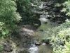 waimoku-falls-025