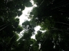 waimoku-falls-027