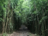 waimoku-falls-029