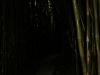 waimoku-falls-030