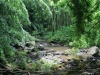 waimoku-falls-032