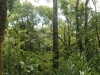 waimoku-falls-033