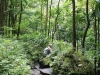 waimoku-falls-034