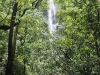 waimoku-falls-035