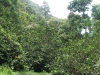 waimoku-falls-047