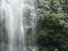 waimoku-falls-048
