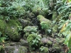 waimoku-falls-061