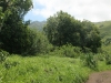 waimoku-falls-064
