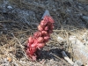 Waterman Mountain 060