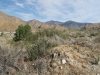 Whitewater Preserve 010.JPG