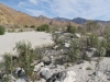 Whitewater Preserve 014.JPG