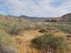 Whitewater Preserve 018.JPG