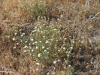 Whitewater Preserve 021.JPG