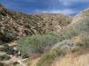 Whitewater Preserve 025.JPG