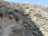 Whitewater Preserve 031.JPG