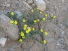 Whitewater Preserve 032.JPG