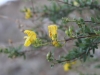 Whitewater Preserve 033.JPG