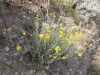 Whitewater Preserve 034.JPG