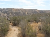 Whitewater Preserve 057.JPG