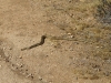 Whitewater Preserve 063.JPG