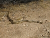 Whitewater Preserve 068.JPG