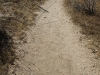 Whitewater Preserve 073.JPG