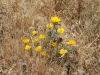 Whitewater Preserve 078.JPG