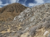 Whitewater Preserve 084.JPG