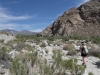 Whitewater Preserve 097.JPG