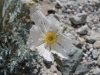 Whitewater Preserve 099.JPG