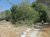 Whitewater Preserve 101.JPG