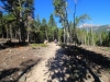 Wild-Basin-0002