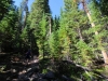 Wild-Basin-0006