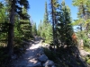 Wild-Basin-0009