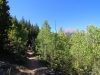 Wild-Basin-0013