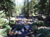 Wild-Basin-0026