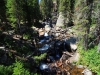 Wild-Basin-0034