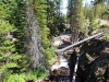 Wild-Basin-0035