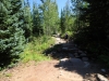 Wild-Basin-0041