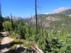 Wild-Basin-0047