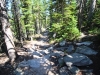 Wild-Basin-0054