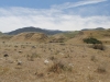 Wind Wolves Preserve IV 039