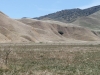 Wind Wolves Preserve IV 040