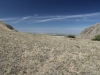 Wind Wolves Preserve IV 054