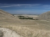 Wind Wolves Preserve IV 057