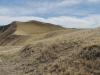 Wind Wolves Preserve IV 064