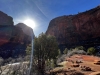Zion-NP-0003