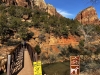 Zion-NP-0004